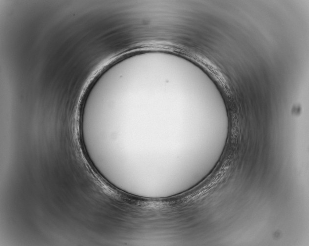 X0000103491188200810031559