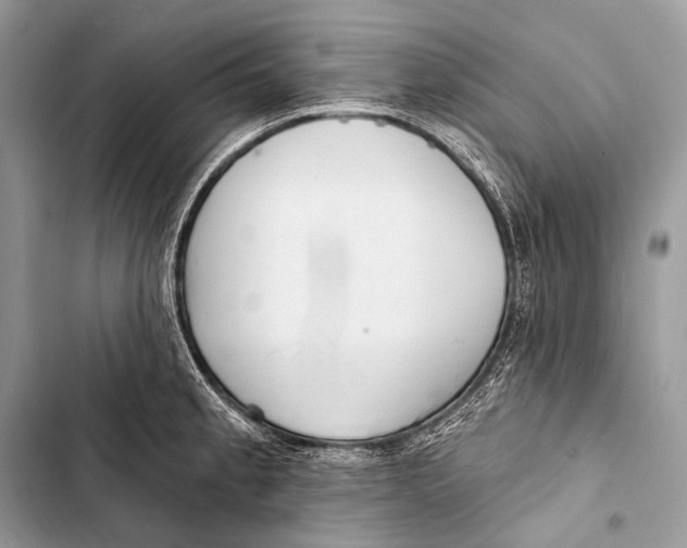 X0000103491189200810031559