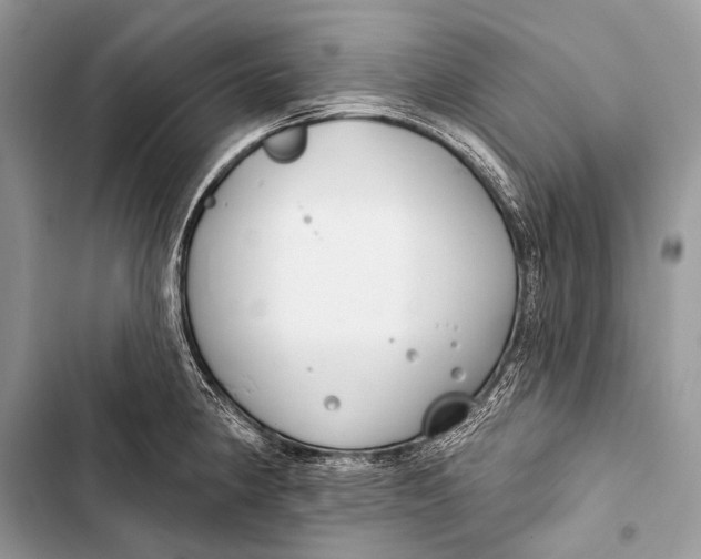 X0000103491190200810031558