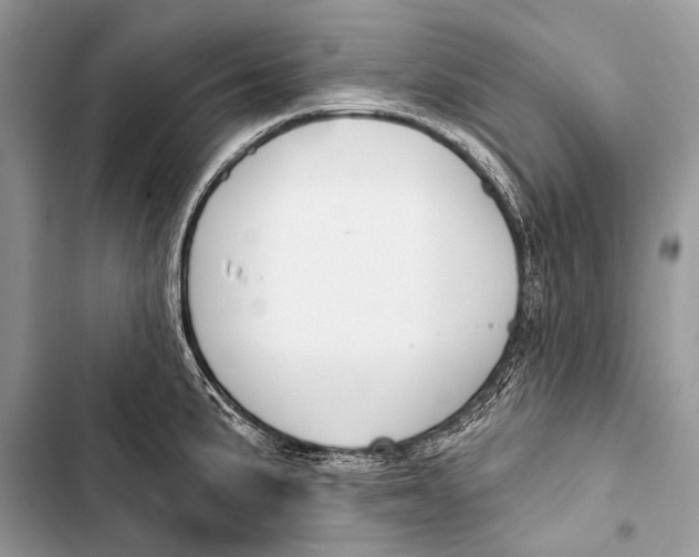 X0000103491191200810031558