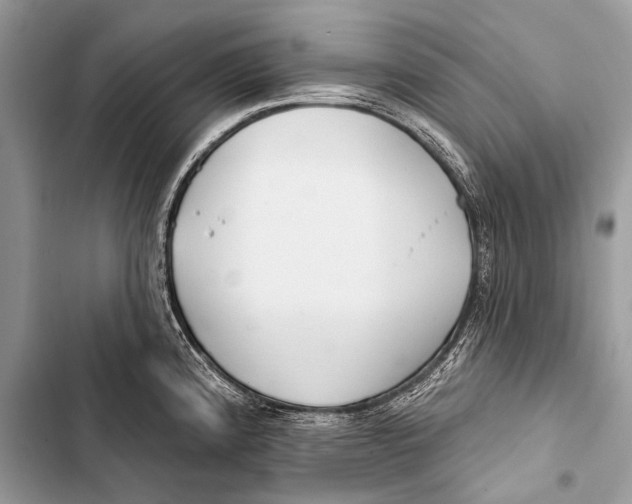 X0000103491192200810031558