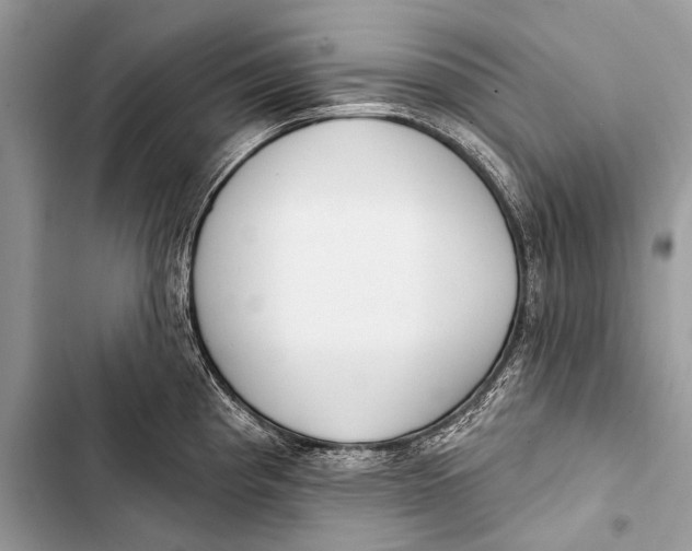 X0000103491193200810031558