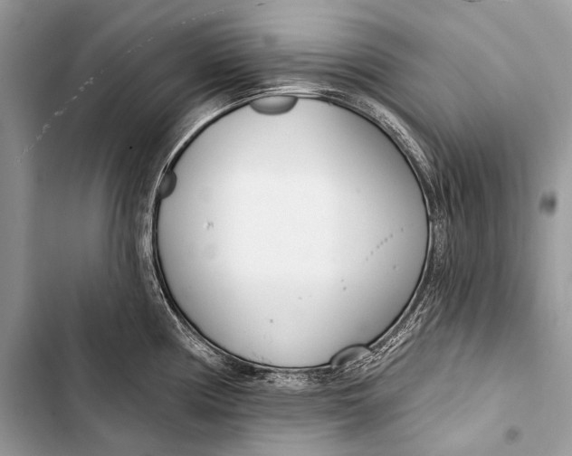 X0000103491194200810031558