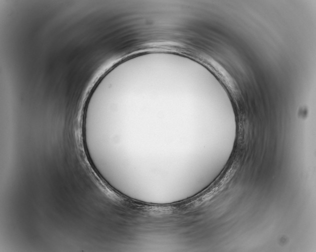 X0000103491196200810031558