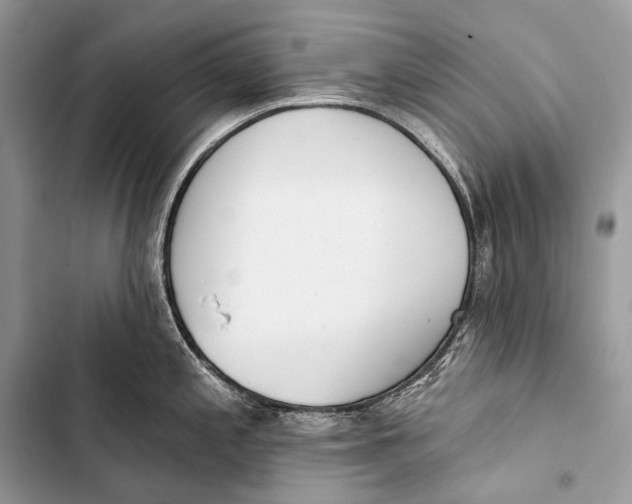 X0000103491197200810031558