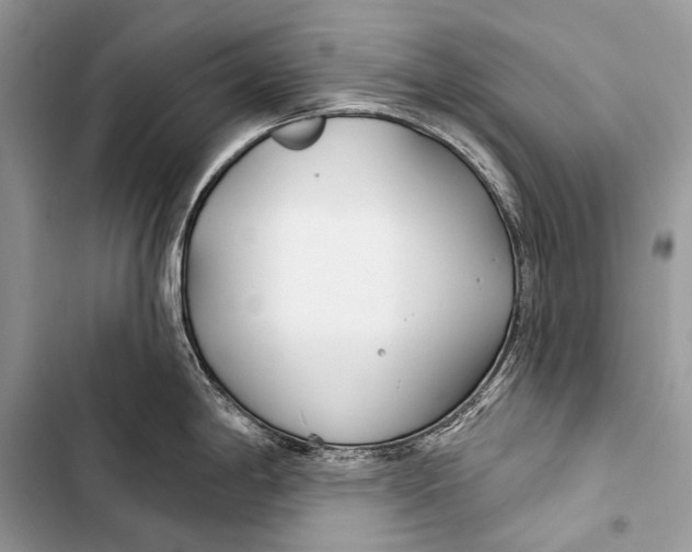 X0000103491198200810031558