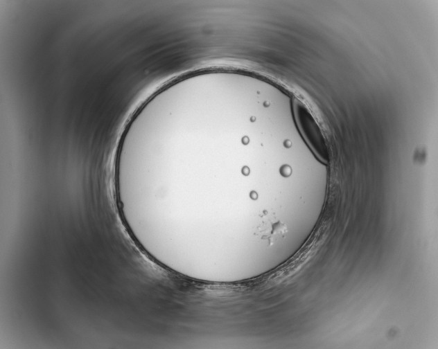 X0000103491199200810031558