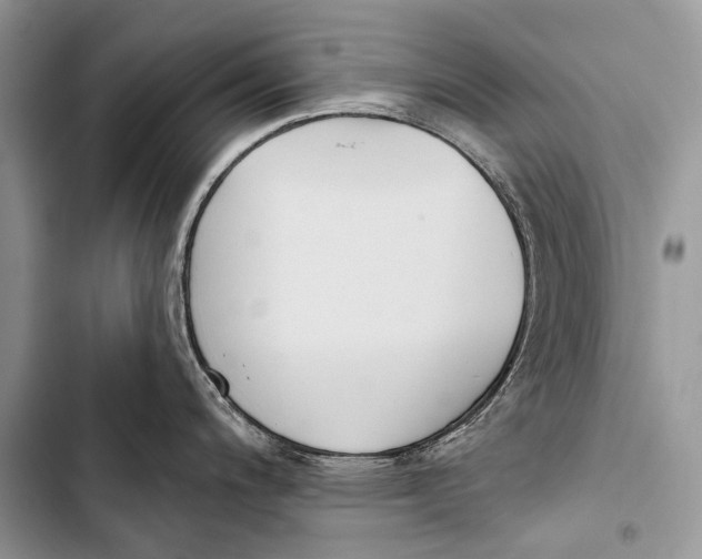 X0000103491200200810031558