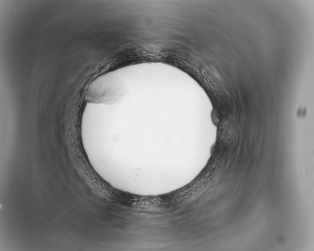 X0000103491201200810031558