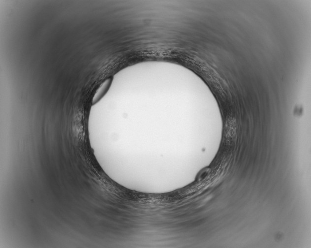 X0000103491202200810031558