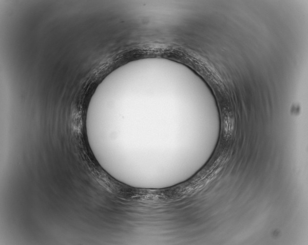 X0000103491204200810031558