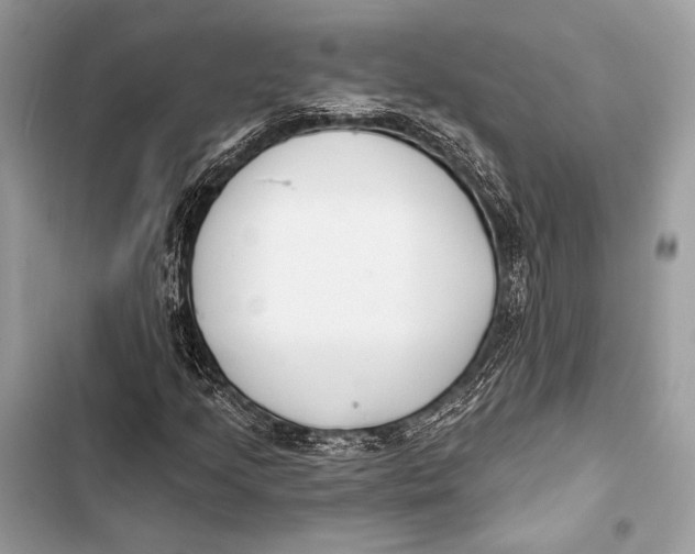 X0000103491205200810031558