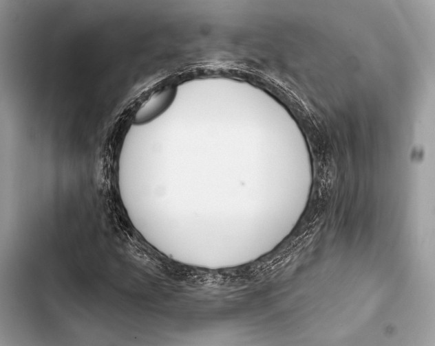 X0000103491207200810031558