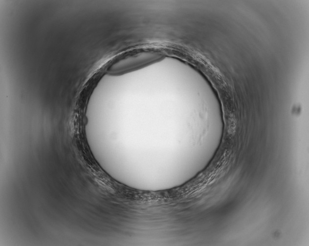 X0000103491208200810031558