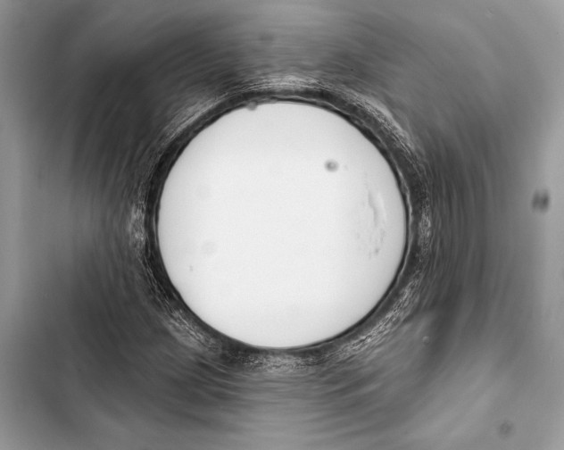 X0000103491209200810031558