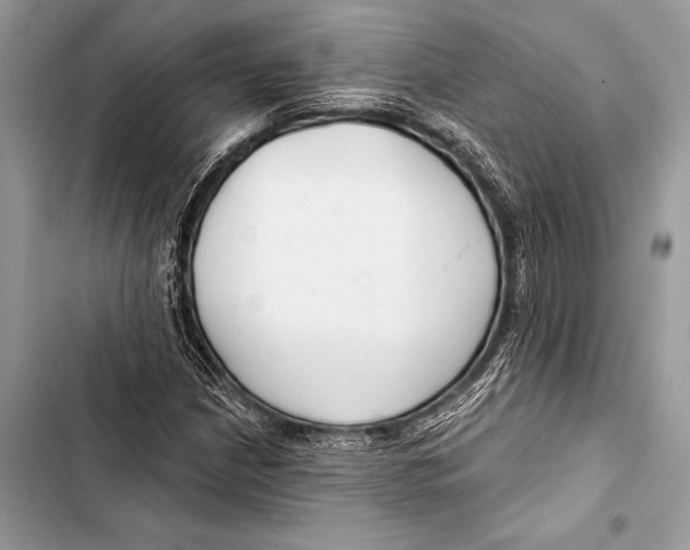 X0000103491210200810031558