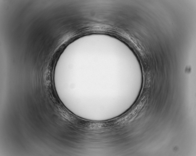 X0000103491211200810031558