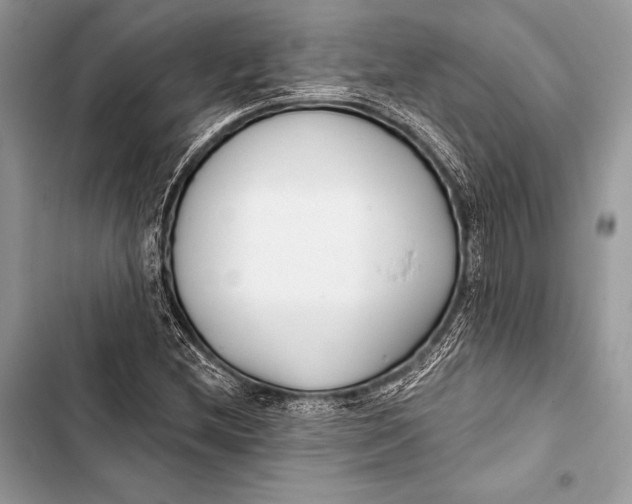 X0000103491212200810031558