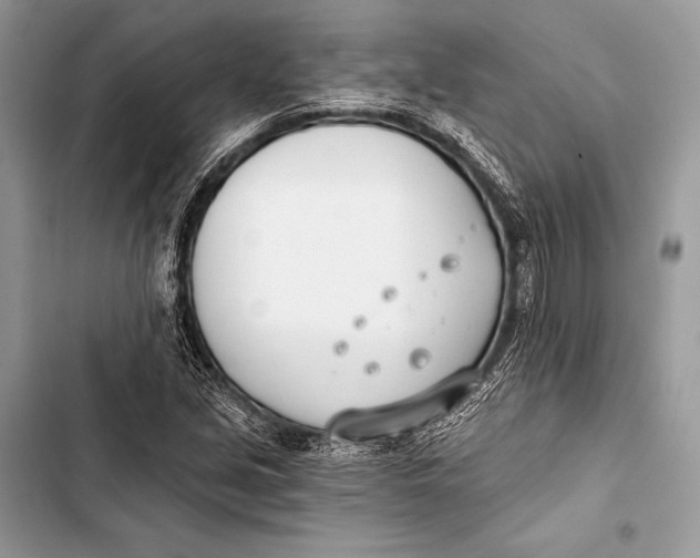 X0000103491213200810031558