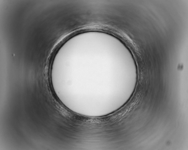 X0000103491216200810031558