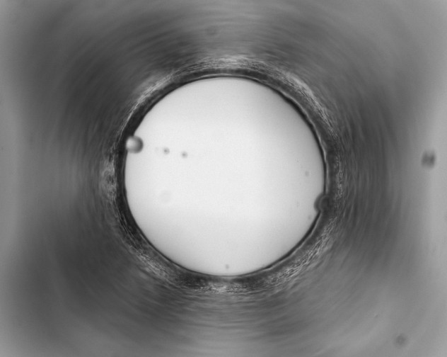 X0000103491218200810031558