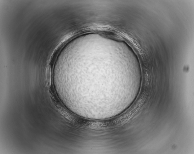 X0000103491219200810031558