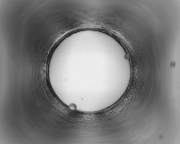 X0000103491220200810031558