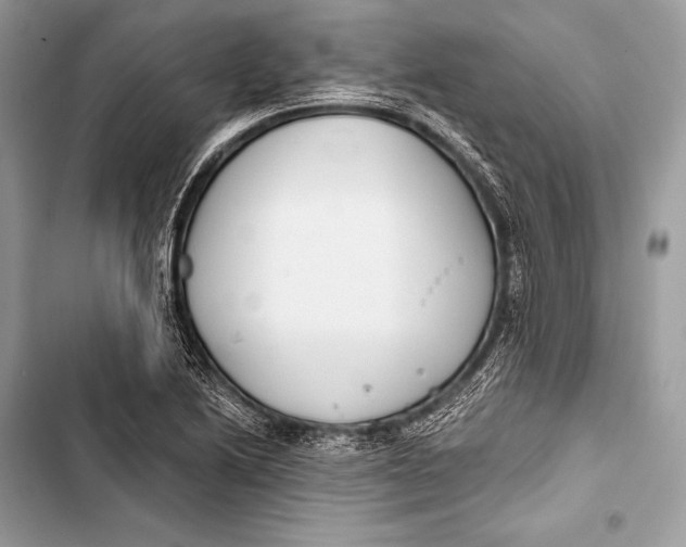 X0000103491222200810031558