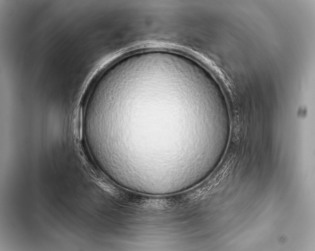 X0000103491223200810031558