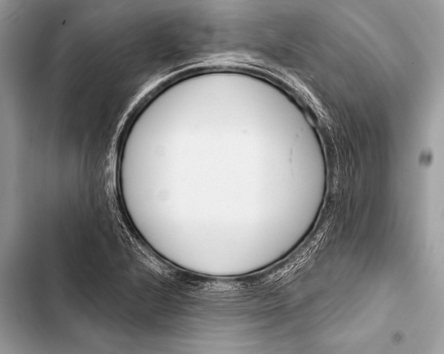 X0000103491224200810031558