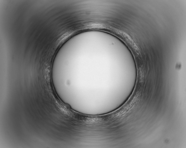 X0000103491225200810031558