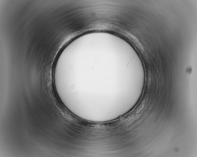 X0000103491226200810031558