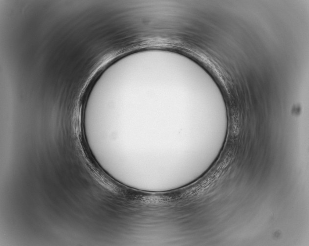 X0000103491227200810031558