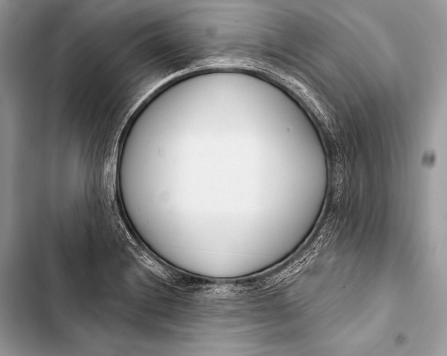 X0000103491228200810031558