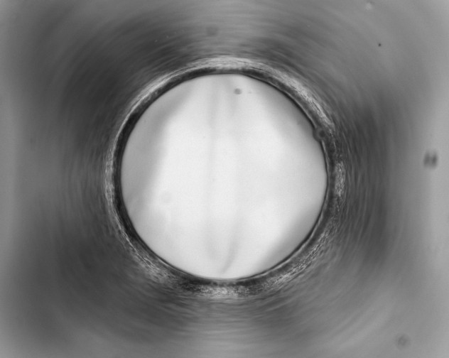 X0000103491229200810031558