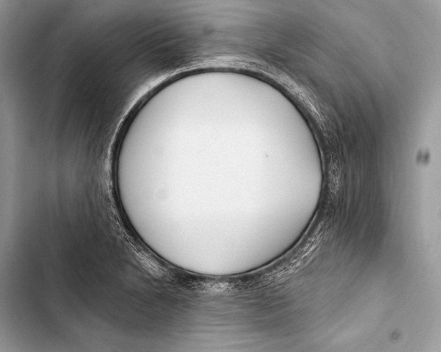 X0000103491230200810031558