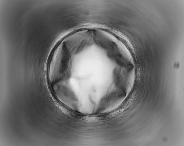 X0000103491231200810031558