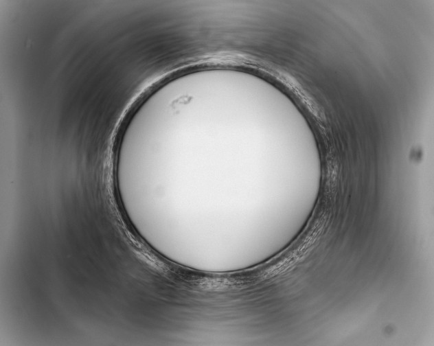 X0000103491232200810031558