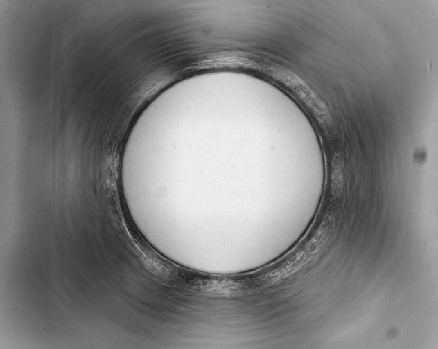 X0000103491233200810031558