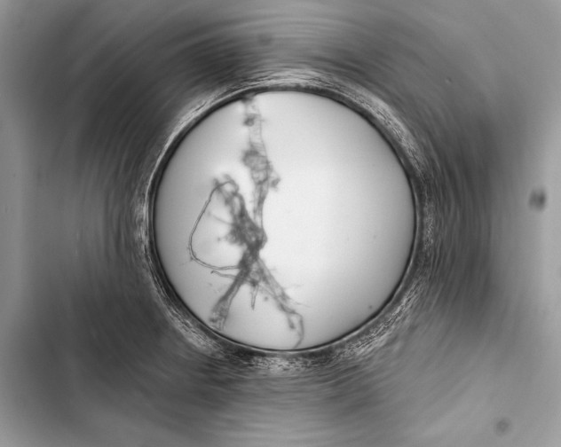 X0000103491234200810031558