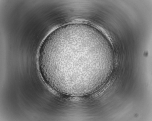 X0000103491235200810031558