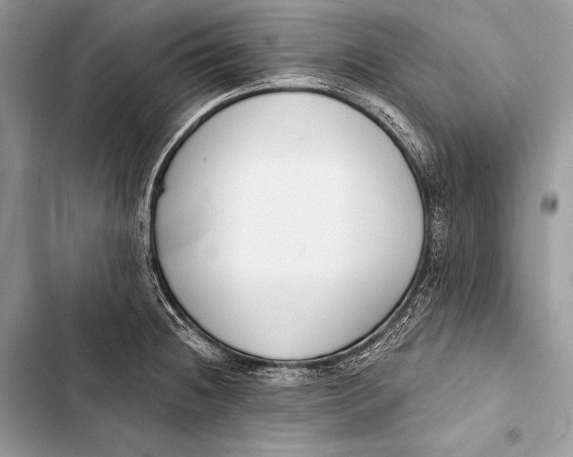 X0000103491236200810031558