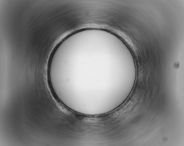 X0000103491237200810031558