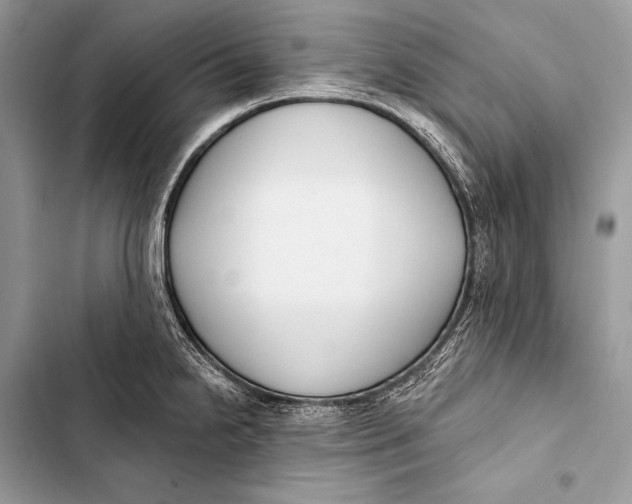 X0000103491238200810031558