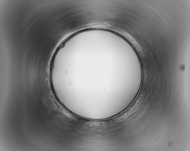 X0000103491240200810031558