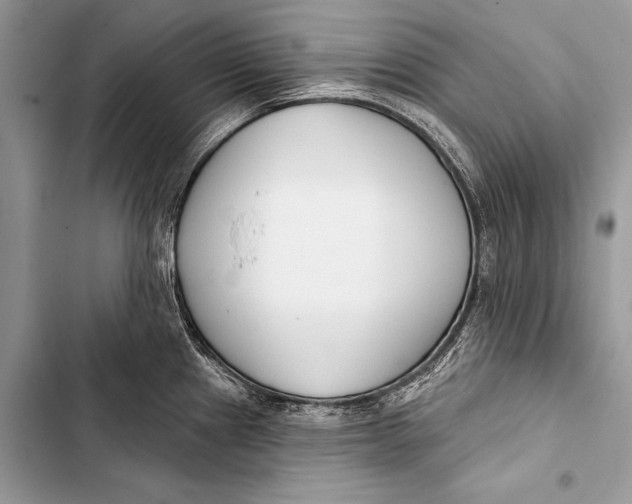 X0000103491241200810031558