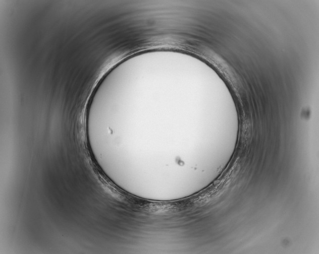 X0000103491242200810031558