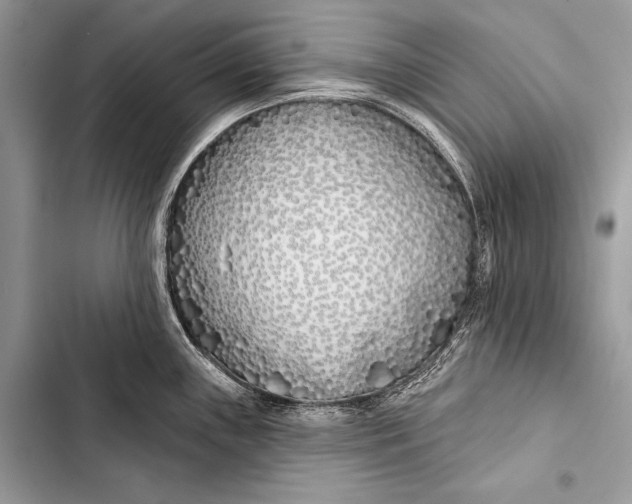 X0000103491243200810031558