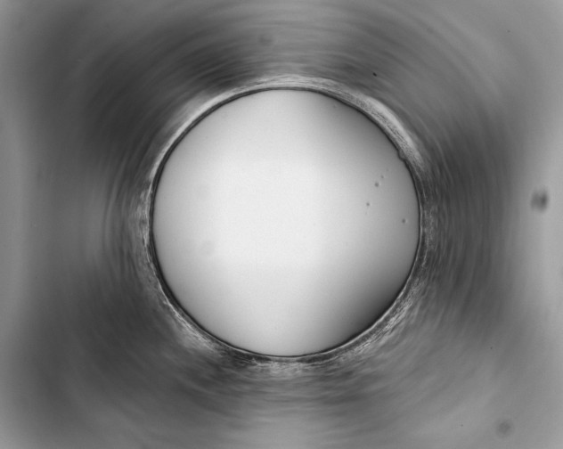 X0000103491244200810031558