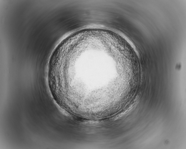 X0000103491245200810031558